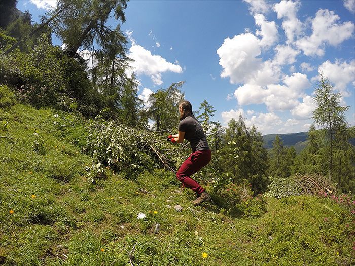 Čistenie lesa počas dobrovoľníckeho projektu v Alúách v spolupráci s asociáciou Österreichischen Alpenverein