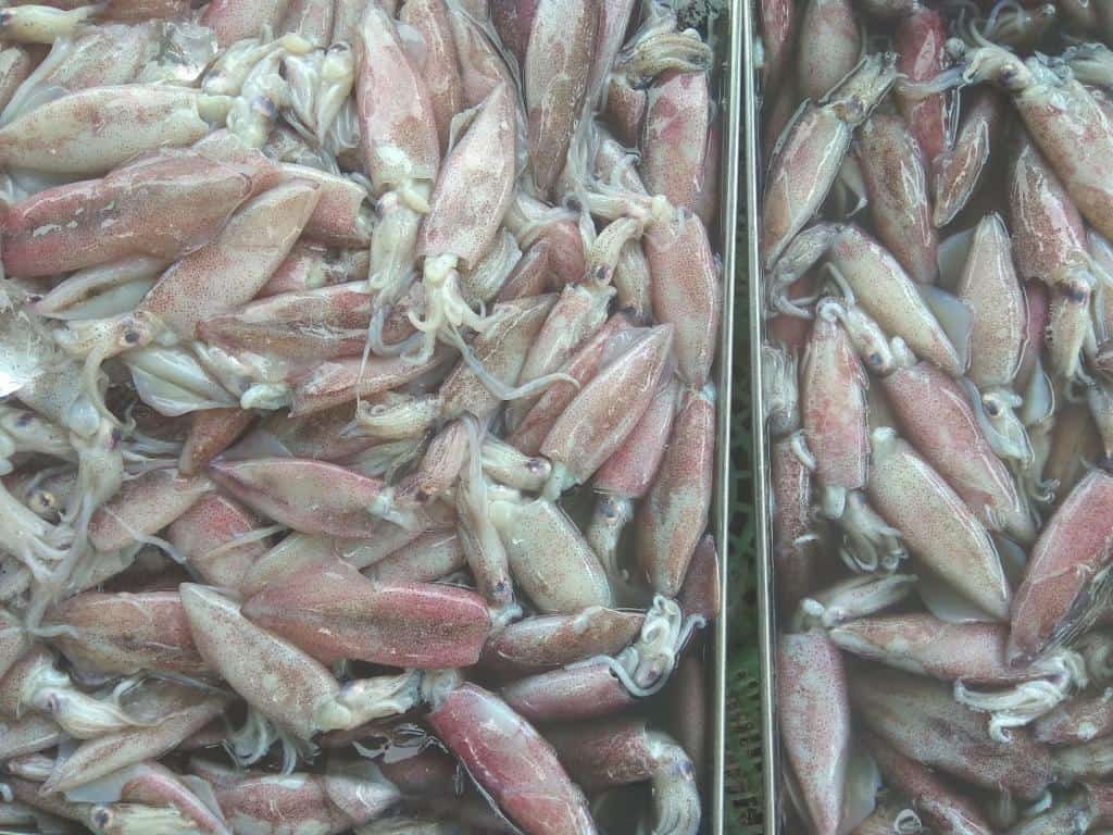Morské plody v Thajsku pred tepelnou úpravou