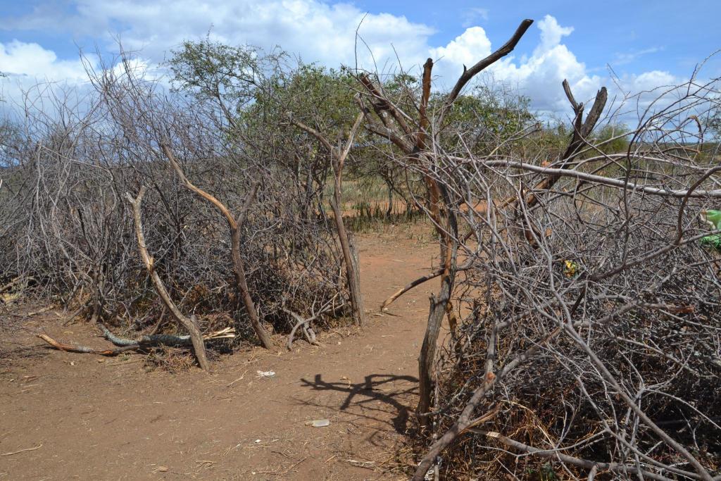 Ochrana osady pred divokou zverou, Afrika